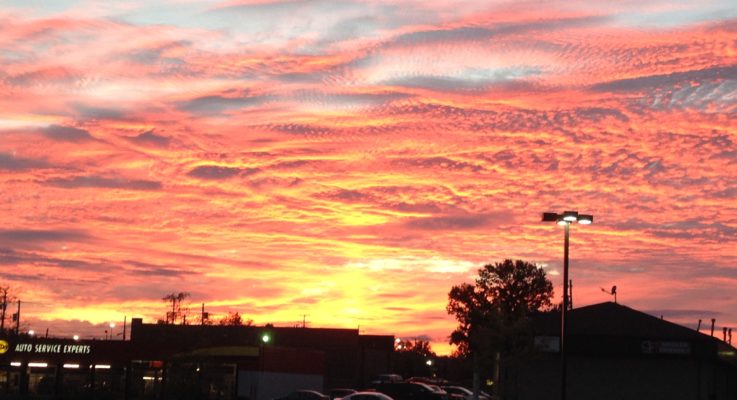 6 Family Activities After Dusk